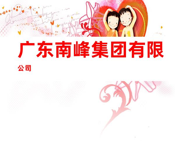 广东南峰集团有限公司